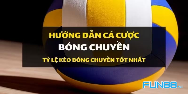 Hướng Dẫn Cá Cược Bóng Chuyền Mang Lại Chiến Thắng Cho Người Mới Hiệu Quả